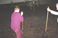 olivetree0212a.jpg - 58883 Bytes