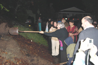 olivetree0212h.jpg - 60696 Bytes