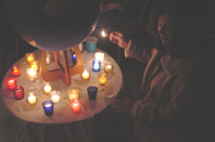 olivetree0212j.jpg - 50433 Bytes